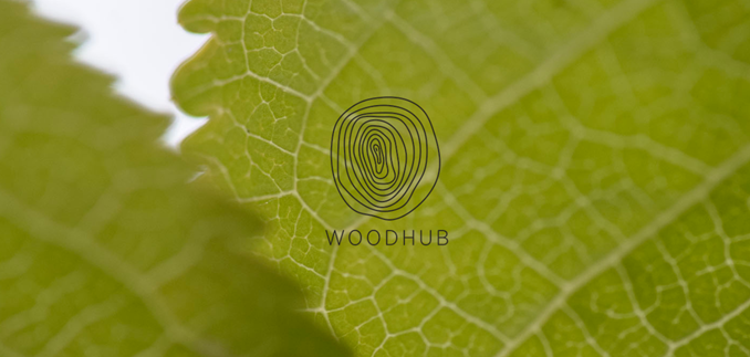 Woodhub logo på en baggrund af lysegrønne blade